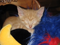 20100206 457.JPG